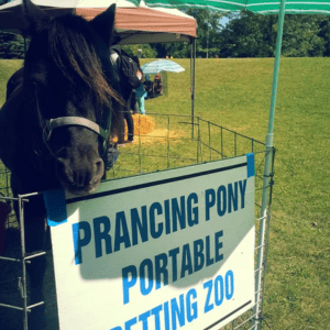 petting zoo for school events
