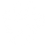 Prancing Pony Petting Zoo logo
